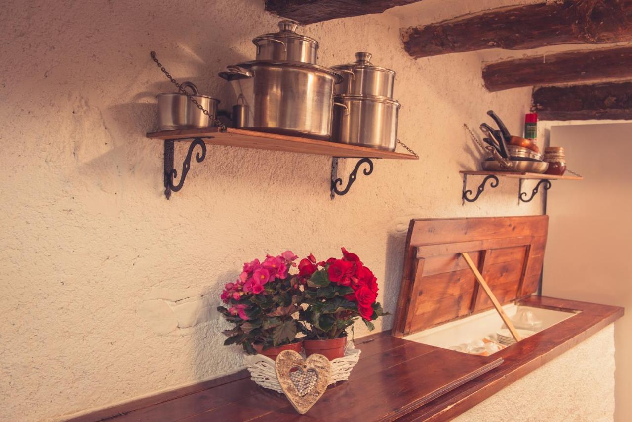 Complex Rural Can Caubet Berga Dış mekan fotoğraf